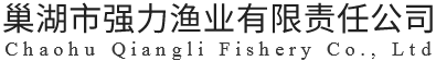 漁網(wǎng)批發(fā)_防鳥網(wǎng)批發(fā)-巢湖市強(qiáng)力漁業(yè)有限責(zé)任公司